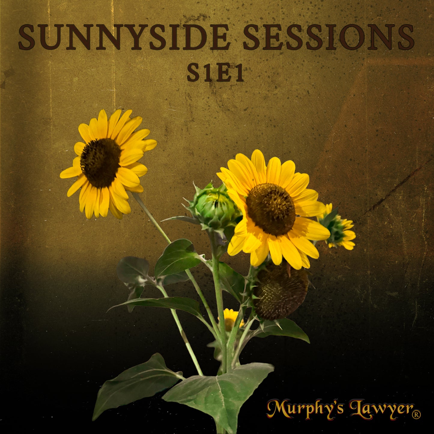 Sunnyside Sessions S1E1  (Digital Download)